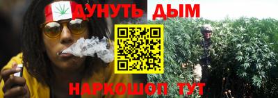 дурь Кингисепп