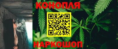 дурь Кингисепп