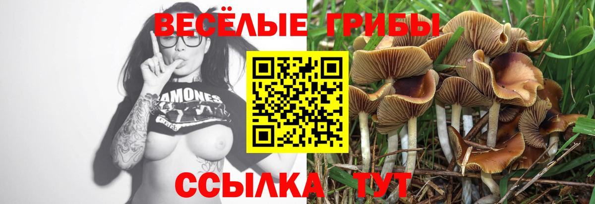 где продают наркотики  Галлюциногенные грибы прущие грибы  Комсомольск-на-Амуре  Вход с VPN  Псилоцибиновые грибы мухоморы 